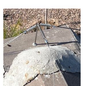 Bird Wire Stainless Steel Nylon 500ft installed on ledge using posts and bases