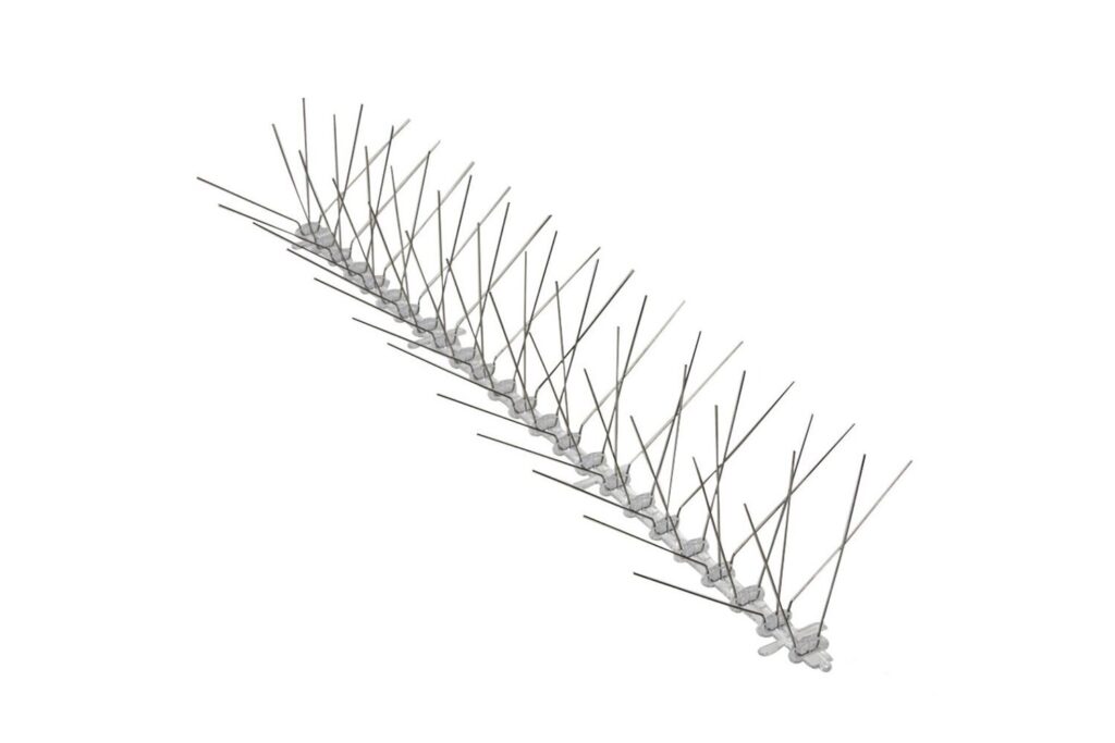 Bird Spikes Stainless Steel 5-inch base installed on rooftop ledge